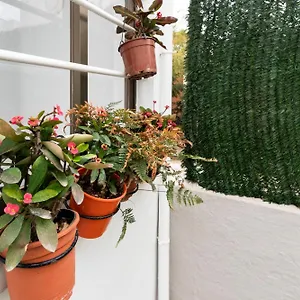 Little House In Center Apartment